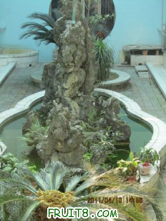 IMG_9901.JPG