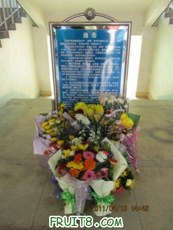 IMG_9872.JPG