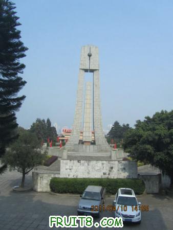IMG_9899.JPG