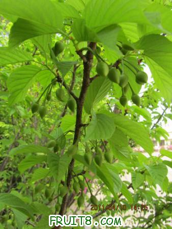 IMG_9793.JPG