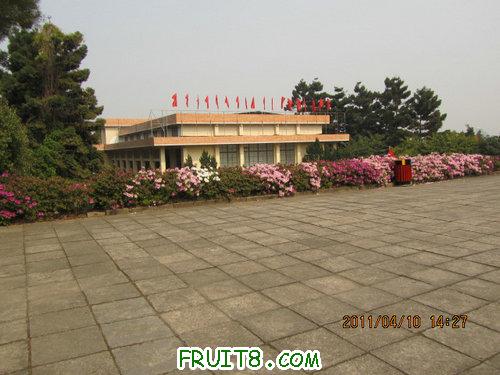 IMG_9812.JPG
