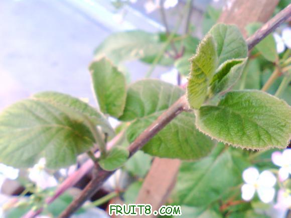 IMG0413A.jpg