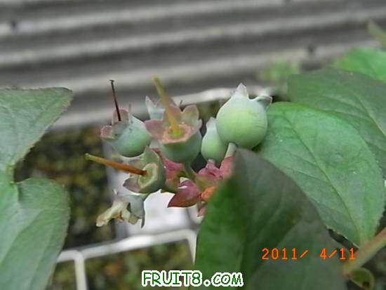 RIMG0758.JPG