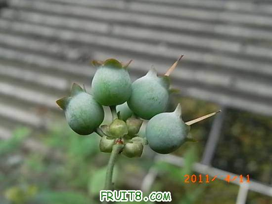 RIMG0753.JPG