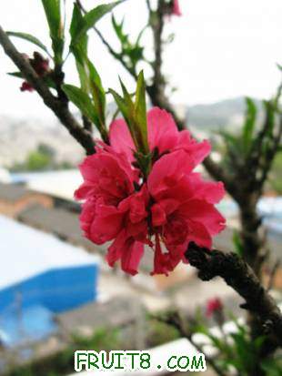 IMG_5224.JPG