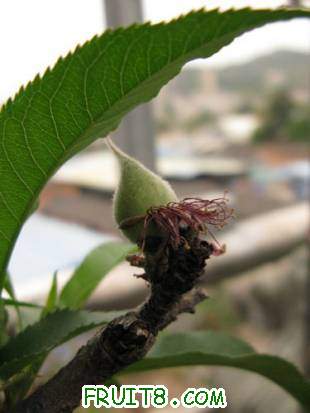 IMG_7623.JPG