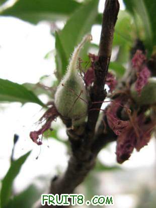 IMG_7626.JPG