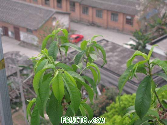 IMG_7260.JPG
