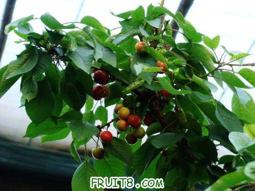 nEO_IMG_DSC02224.jpg