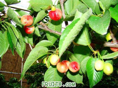 nEO_IMG_DSC02225.jpg