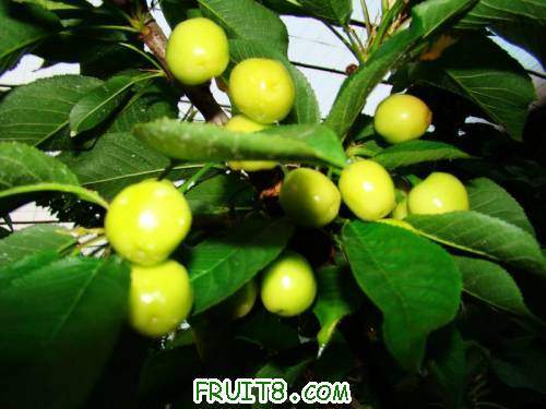 nEO_IMG_DSC02227.jpg