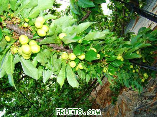 nEO_IMG_DSC02229.jpg