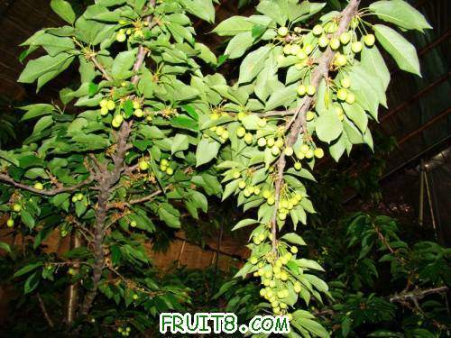 nEO_IMG_DSC02237.jpg