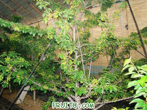 nEO_IMG_DSC02239.jpg