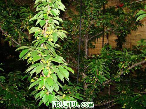 nEO_IMG_DSC02242.jpg