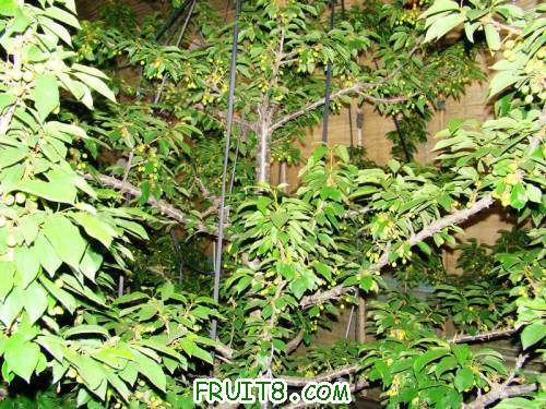 nEO_IMG_DSC02243.jpg