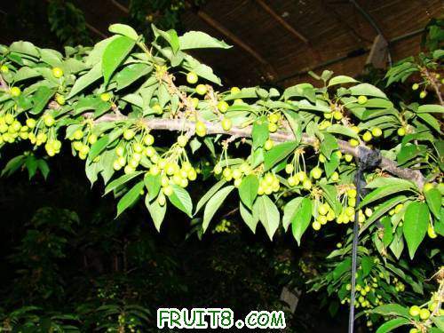 nEO_IMG_DSC02246.jpg
