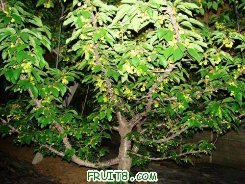 nEO_IMG_DSC02247.jpg