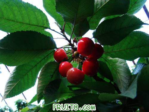 nEO_IMG_DSC02362.jpg