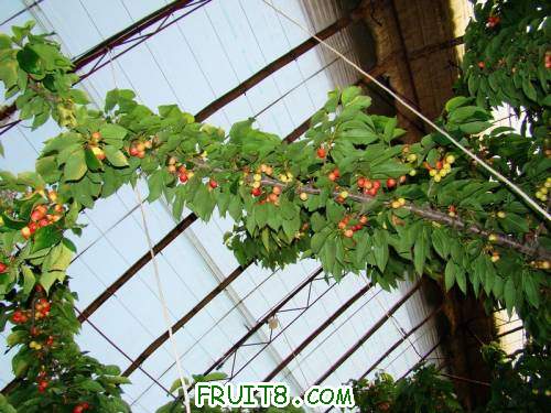 nEO_IMG_DSC02323.jpg