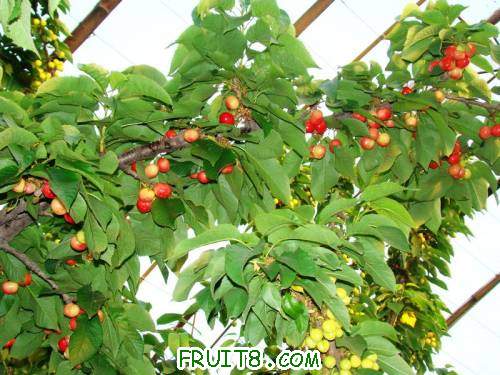 nEO_IMG_DSC02364.jpg