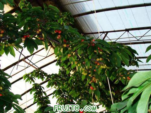 nEO_IMG_DSC02346.jpg