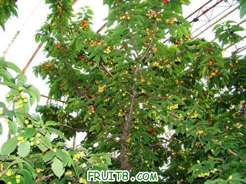 nEO_IMG_DSC02336.jpg