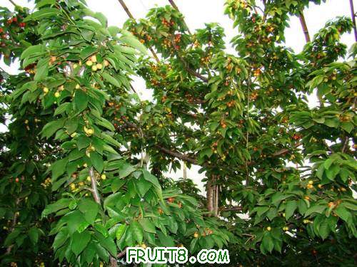 nEO_IMG_DSC02337.jpg