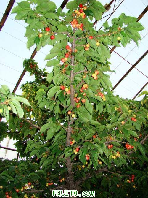 nEO_IMG_DSC02342.jpg