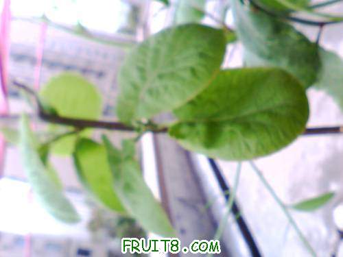 IMG0461A.jpg