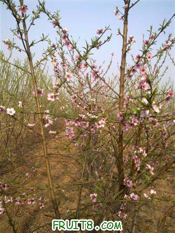 ��13���� (С��).jpg