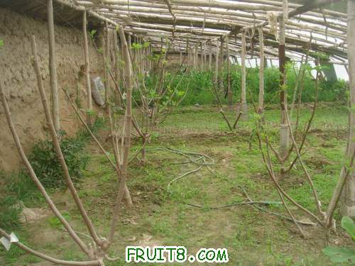 Resize of DSC07035.JPG