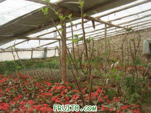 Resize of DSC07041.JPG