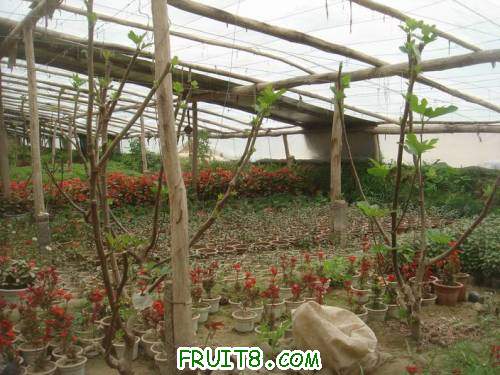 Resize of DSC07037.JPG