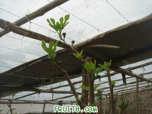 Resize of DSC07043.JPG