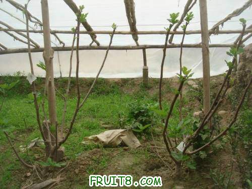 Resize of DSC07036.JPG