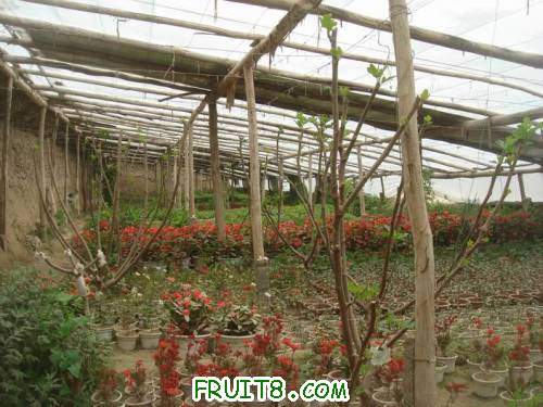 Resize of DSC07038.JPG