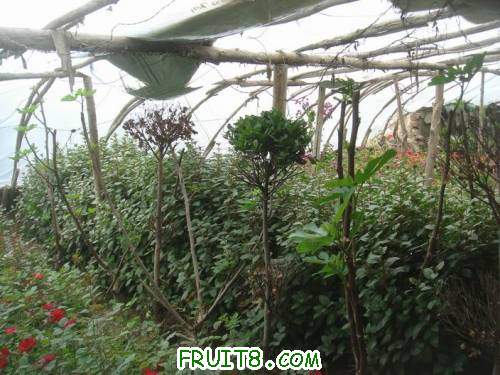 Resize of DSC07023.JPG