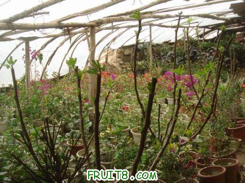 Resize of DSC07024.JPG