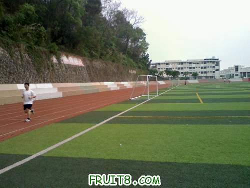 20110404171434.jpg