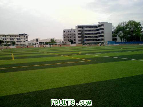20110404171344.jpg
