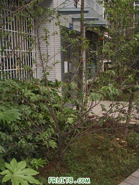 PIC_0064.JPG