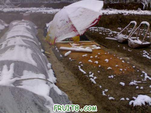 20101216323.jpg