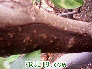 IMG0042A.jpg