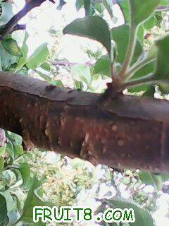 IMG0067A.jpg
