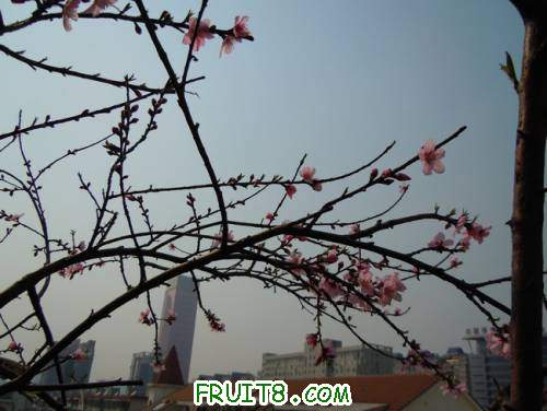 DSCN1238.JPG