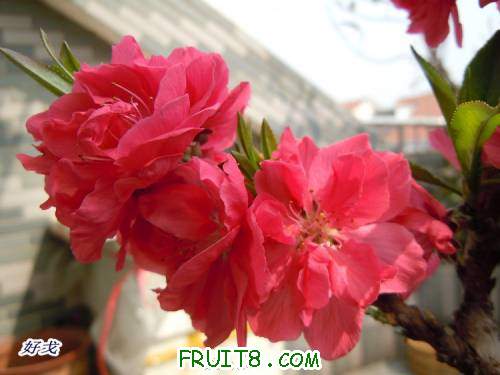 DSCN1223.JPG