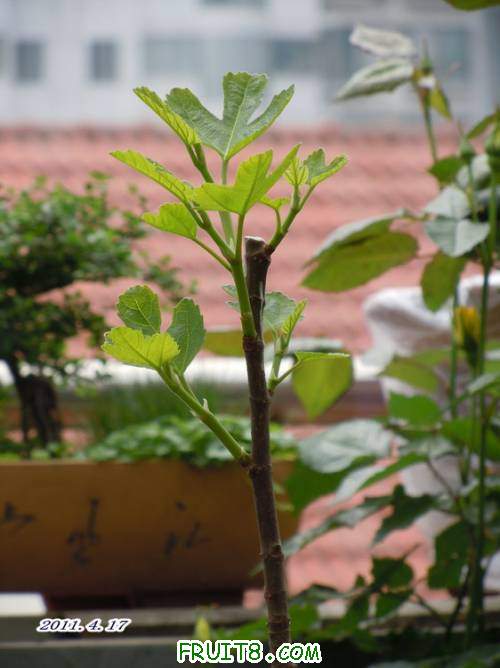 DSCN1307.JPG