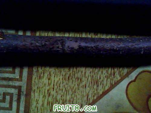 ͼƬ 040.jpg