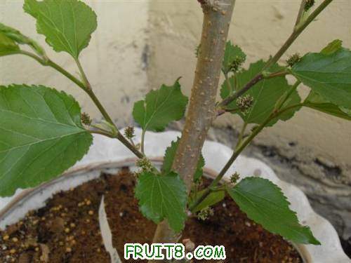 SDC12893 (С��).JPG